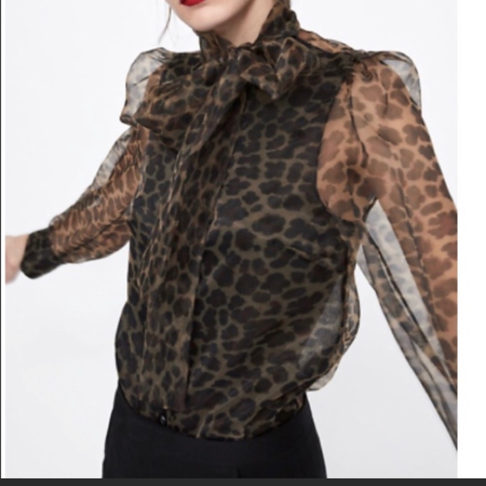 Zara animal print organza blouse - Picture 6 of 8